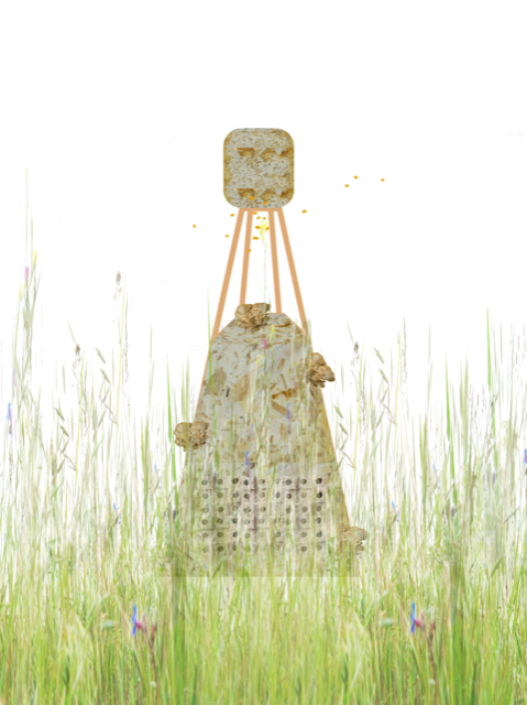 Sculpture for pollinators landed on Mendip