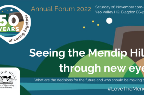 Improving Diversity in the Mendip Hills AONB