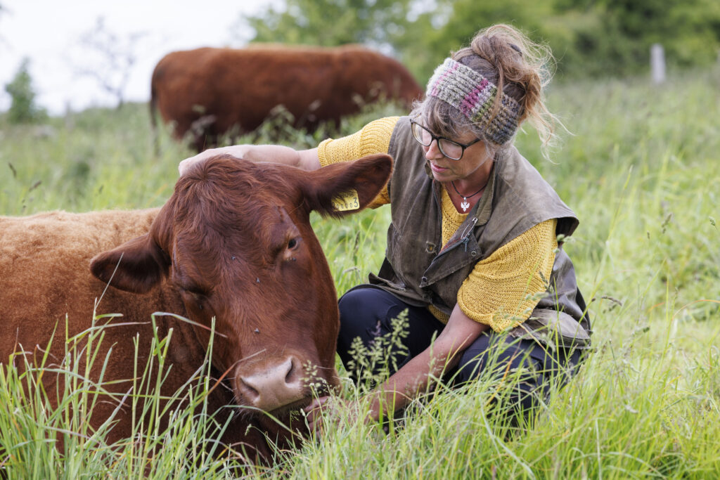 People and wildlife across the Mendip Hills Area of Outstanding Natural Beauty (AONB) are benefitting from two parts of Defra’s Environmental Improvement Plan announced on 31st January.
