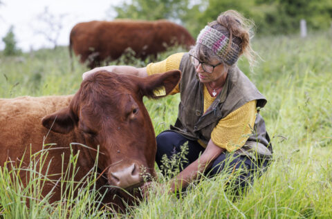 People and wildlife across the Mendip Hills Area of Outstanding Natural Beauty (AONB) are benefitting from two parts of Defra’s Environmental Improvement Plan announced on 31st January.