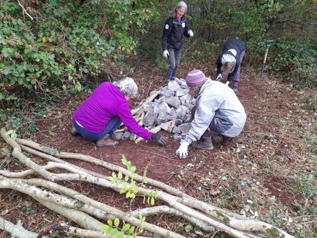 Volunteers piling large stone to create an adder hibernaculum on the Mendip Hills.