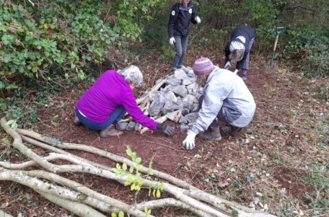 How do you build a home for an Adder?