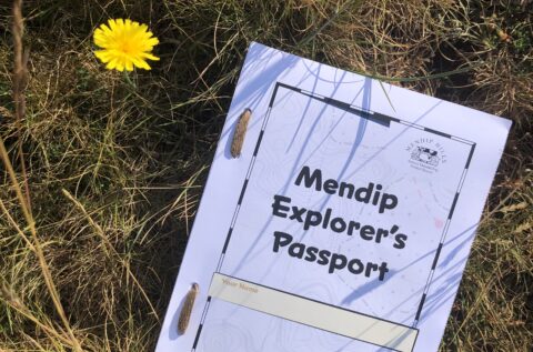 Calling all explorers – big and small!