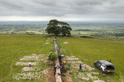 Share your Moments on Mendip