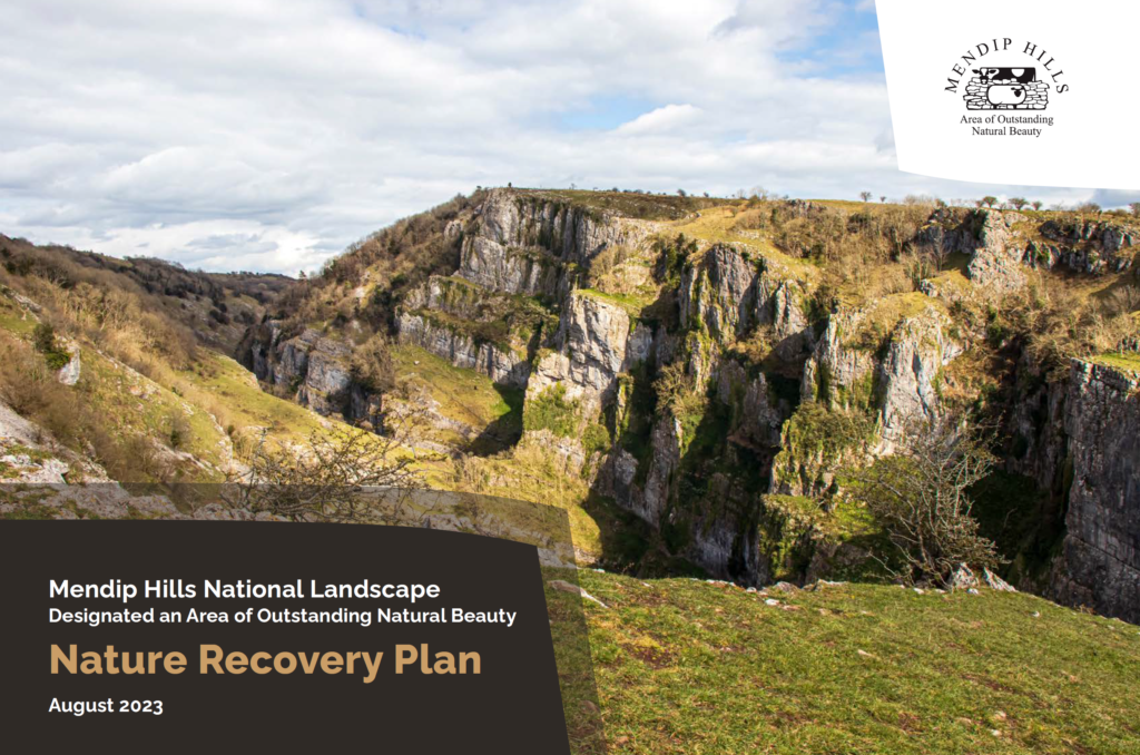 The front cover of the Mendip Hills National Landscape Nature Recovery Plan