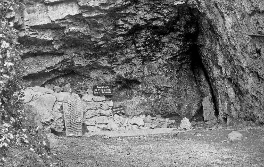 Share your Moments on Mendip