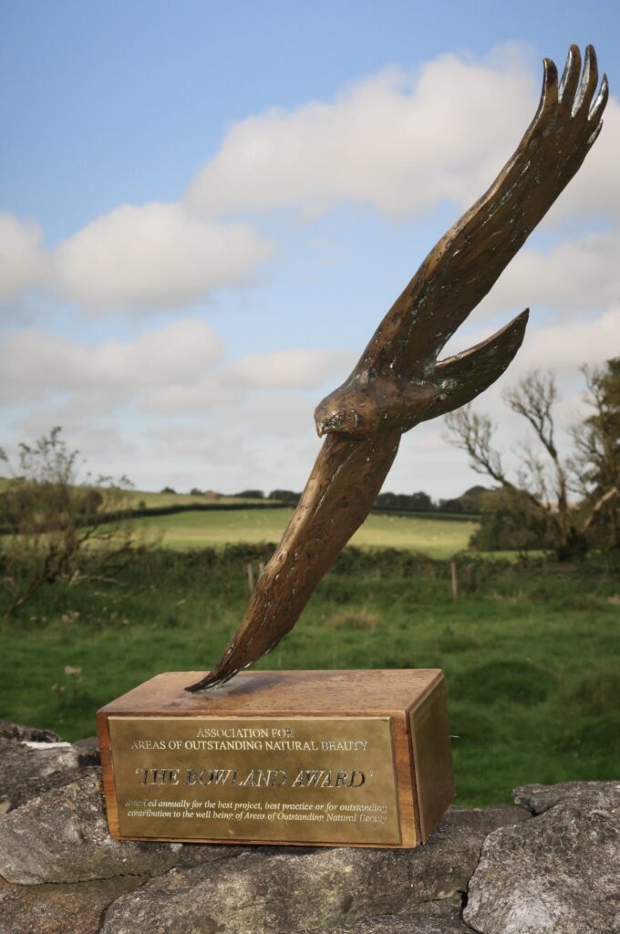 Mendip Hills AONB Service wins coveted National Award for Adder Project