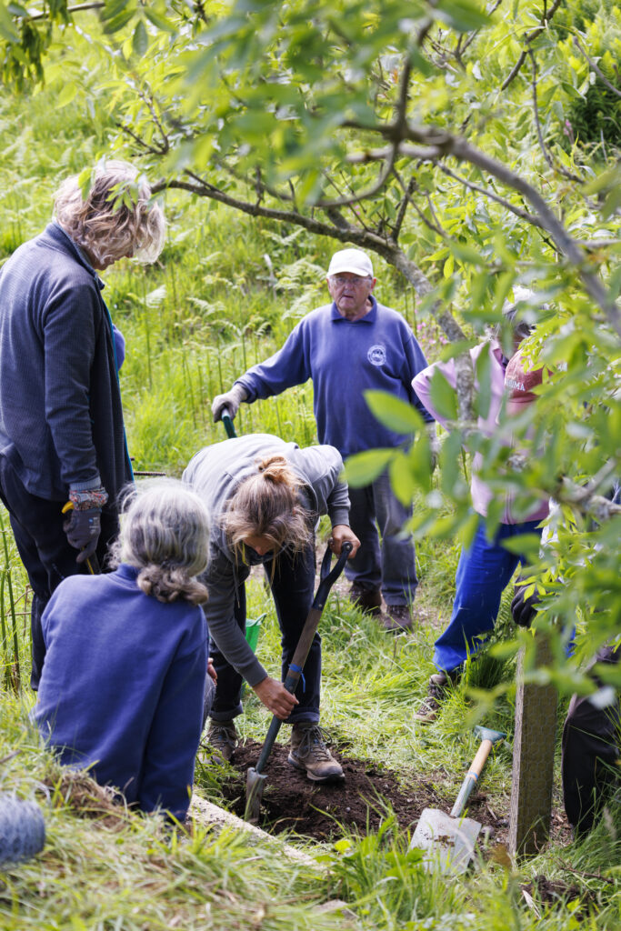 Mendip Hills Fund opens for Community and Environmental Grants