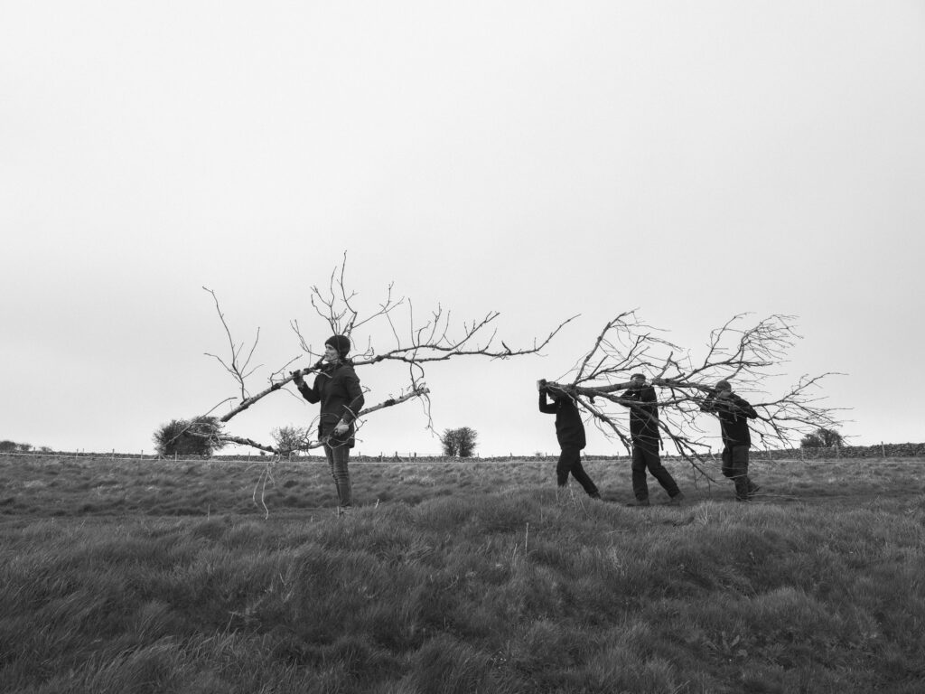 Sculptural installation planned to highlight the plight of Mendip ash trees