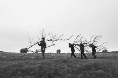 Sculptural installation planned to highlight the plight of Mendip ash trees