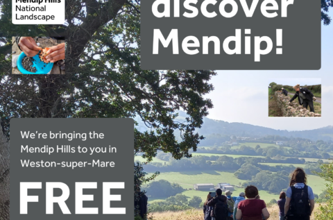 Drop in and Discover Mendip