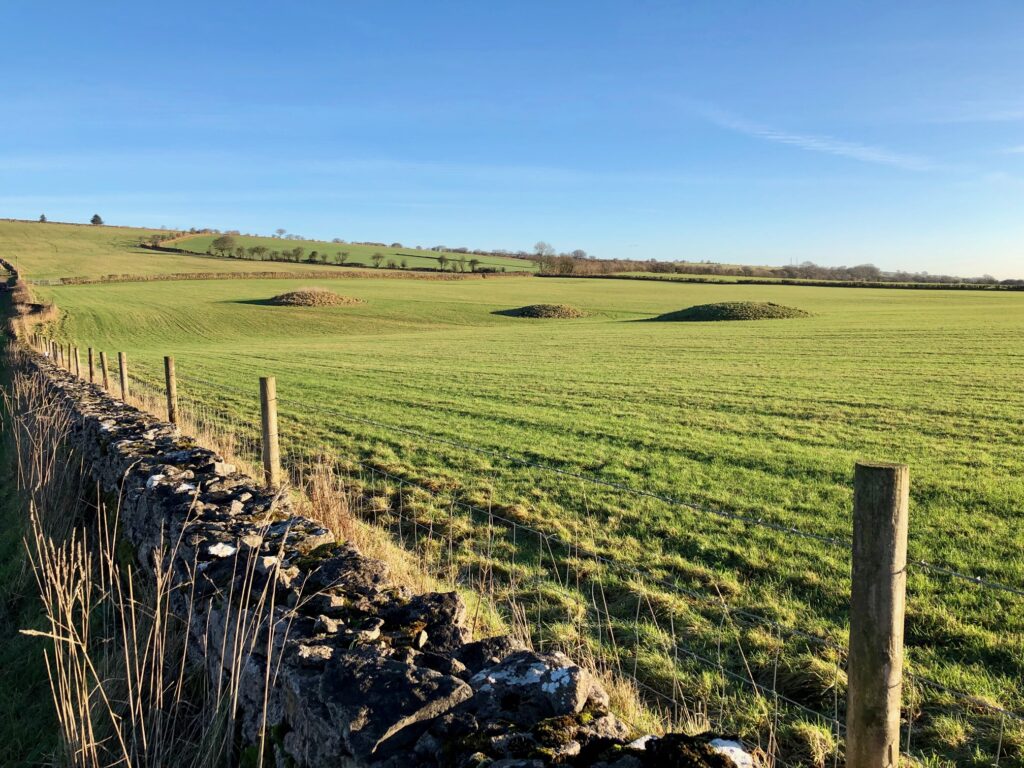 Round barrows near Tynings Gate on the Mendip Hills
