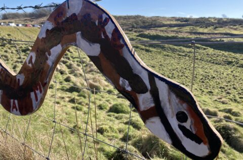 Colourful Art Snakes Appear in Mendip Hills to Protect Rare Adders 
