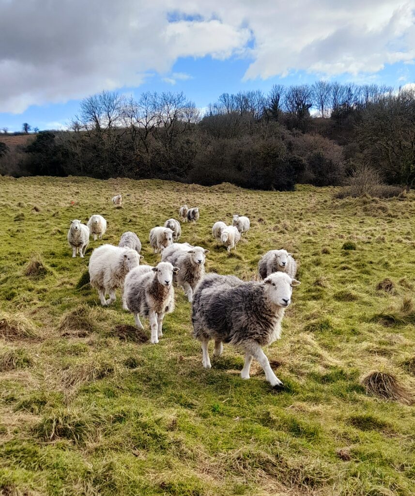 Grants for Farmers in the Mendip Hills Renewed for Another Year