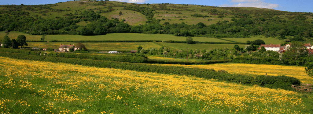 A message from David Turner, the new Chair of the Mendip Hills National Landscape Partnership