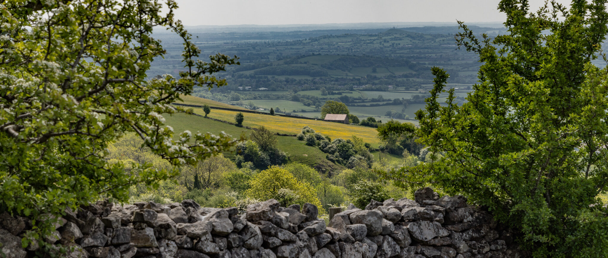 View from the Mendip Hills over a drystone wall across the Somerset Levels