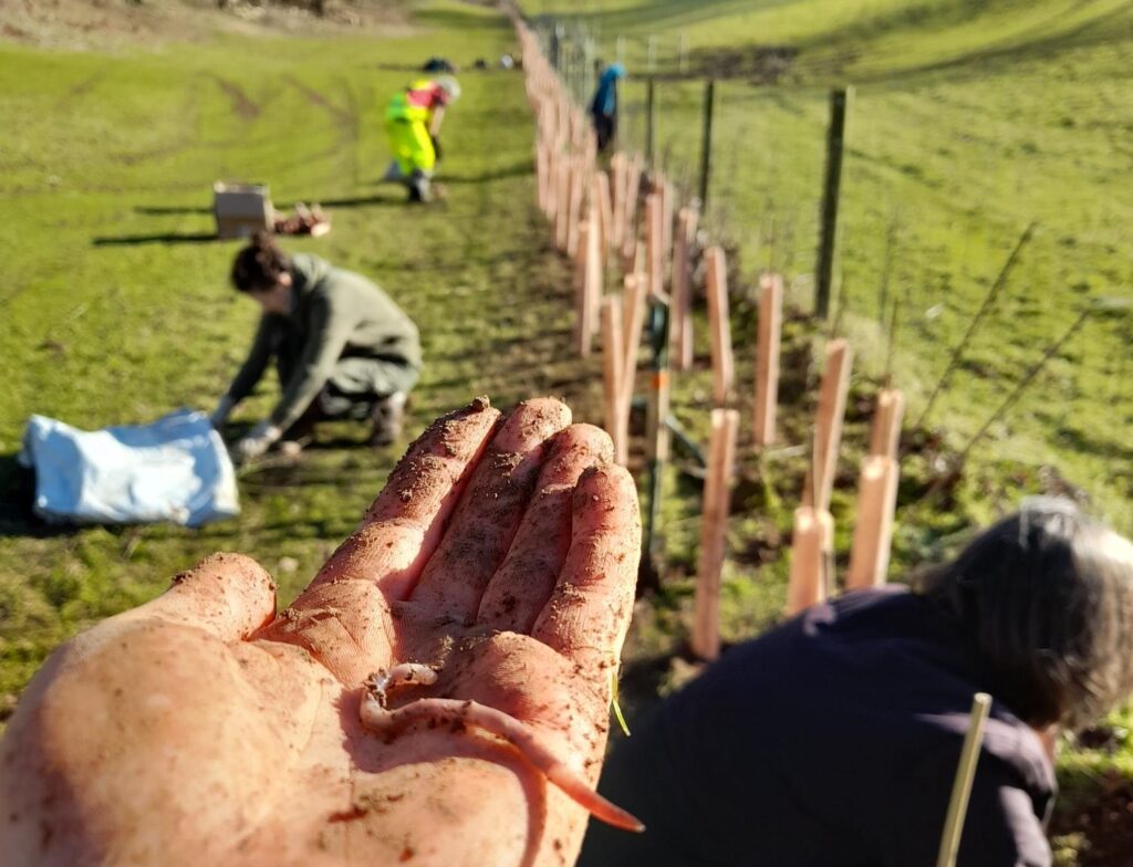 Farming Engagement Officer Needed