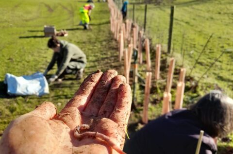 Farming Engagement Officer Needed