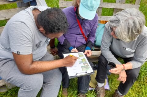 Mendip Connections – bringing local people and projects together!