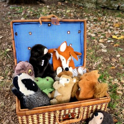 A hamper of British wildlife in a Forest School setting
